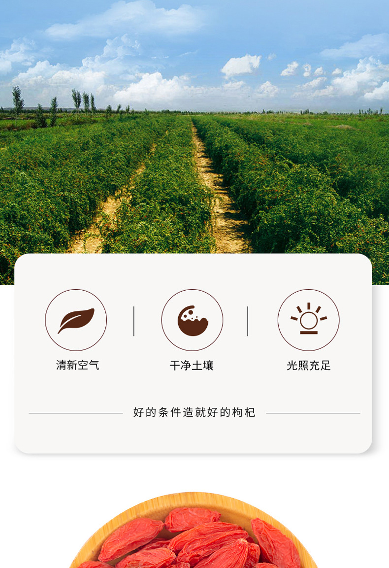 Ningxia Goji Berries Dried Wolfberry Fruit Gou Qi Zi Ready to Eat 250g Bag quality and texture