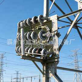 贴合线夹 550kN 三联耐张导线端部卡 NDBK150-DX 特高压线路运维
