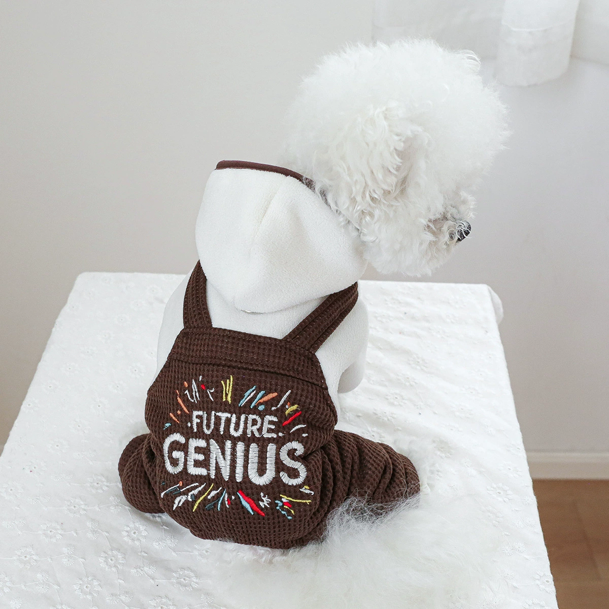 Спотовые трансграничные взрывы домашних животных щенков кошачьей одежды фабрики прямых продаж осенью и зимой новые маленькие гениальные ремни