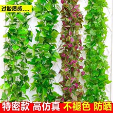 ����G�}�~���~���ϱڒ�ٻ��ٗl�����G�~�p�@�ܵ����{ˮ�ړ��b�