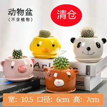 ��}��ͨ�������С����ɐ۶����賬������С���ӾGֲ�Ӵ������l