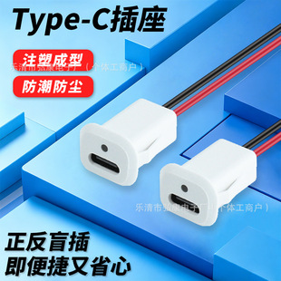 ֱ�� ��ʽ����TYPE-Cĸ�� ע�ܷ�ˮ2Pin��늾� ���LED���ܳ�늿�