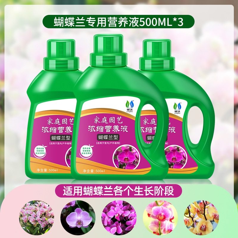 Phalaenopsis Nutrition Liquid 500ml * 3ขวด} [ส่งเสริมดอกไม้และใบไม้สีเขียว]