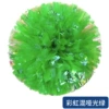 Ring plus dense rainbow mixed Asian light green