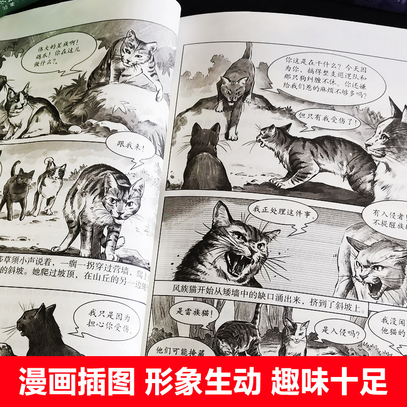 猫武士八部曲中文版无星之族全套3册 传奇的猫族猫武士外国小说-阿里巴巴