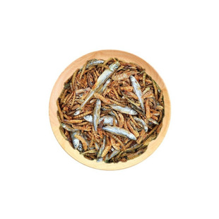 ���Z���ͨ���͞�����Ϟ������Z����~�r���~�����A�����o�}�r��