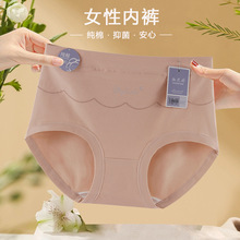 �H�w������Ůʿ��ѝ�^2025�¿�ӡ���и�������10A�������d����ѝ