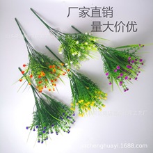 ���^�M���Ƿ���ֲ��M�������컨����ֲ�����������b����ϻ�����