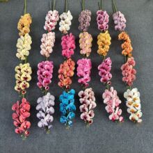 ^mzƬָлcbٻ滨÷滨߼б