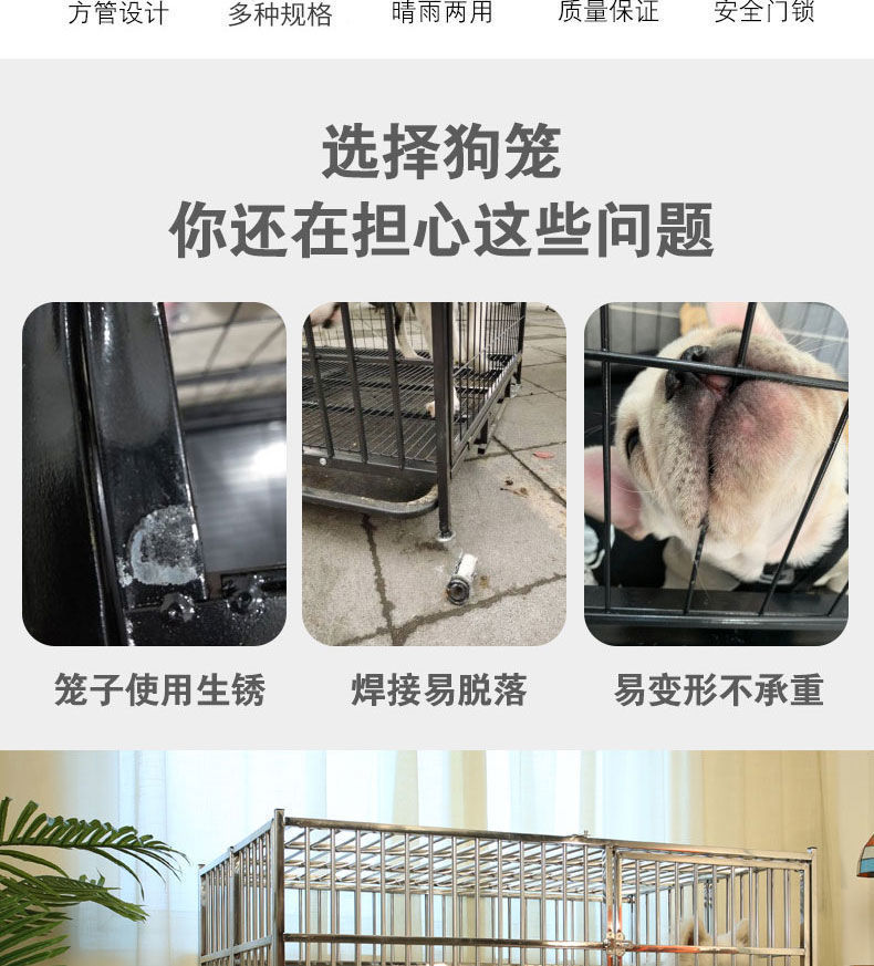 e8378fcd-a527-4fed-ae7e-b47b9ab0850f.jpe