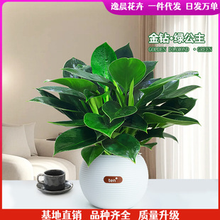 �����~������G�q���҃�����Ȥζ���¾Gֲ���Ժ��B�o�������^ֲ��