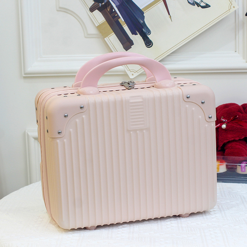 산수유 분말 M06