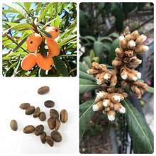 ���˷N�ӹ���N����ľ�N���J�ٽ����J֦���Ǵ����˘����N���ļ�