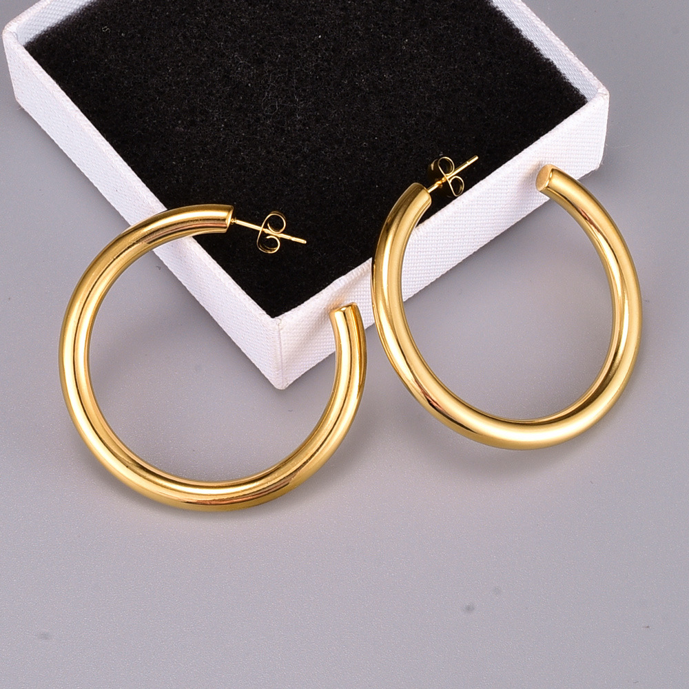 Heart Plating 304 Stainless Steel Titanium Steel No Inlaid 18K Gold Plated Earrings display picture 26