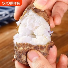 ���ţ��С���^5�����r�F�ڼtѿë���^������ܵ�r�߲����^С����