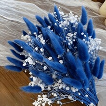 �羳���N ��������β�݉����ǻ�� �ɻ��滨�����Ҿӻ�Y�b�diy