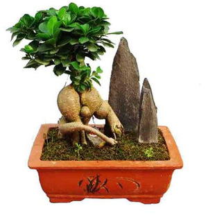 С�~�Ř��辰 �ļ�����ֲ�������Ř��Ϙ��辰 �҃����ԾGֲ�辰��