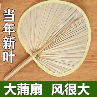 Big Banana Fan Old-fashioned Household Jigong Fan Sunflower Fan New Style Pu Fan Summer Dance Barbecue Pu Fan Student Version