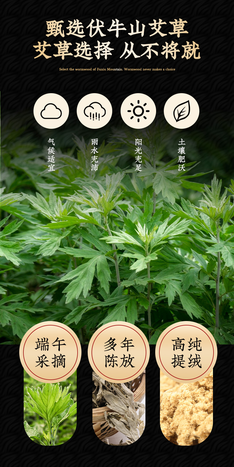 7cm Large Moxa Stick Cannon Moxibustion Ai Tiao Thick Moxa Roll for Spa and Moxibustion Studio Use quality and texture