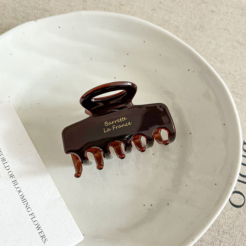 Gran clip de agarre de ácido acético retrógrado francés, clip de pescado, clip de cabello sofisticado, clip de cabello de alta calidad, pinza de cabello para el cabello.