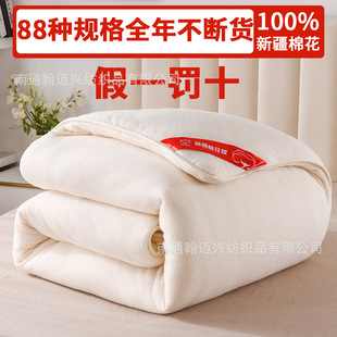 Customized Xinjiang Long-Staple Cotton Quilt Core Student Dormitory Mattress Mattress Spring & Fall Quilt Thickeneded Cotton Quilt Winter Cotton Quilt