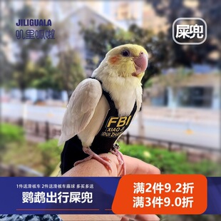�o�׿p�W�^�B���򲻝��·�ʺ����ѝ���w�з����Pĵ����Ƥ���w�K