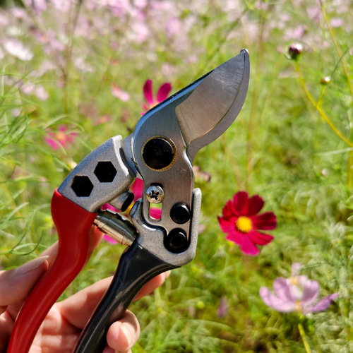 Garden agricultural tools fruit branch shears gray and red two-color V1 labor-saving branch pruning scissors SK5 blade shears pruning shears