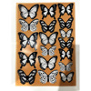 3D three -dimensional butterfly black and white 18 installed simulation butterfly wall stickers bedroom decoration sticker butterfly