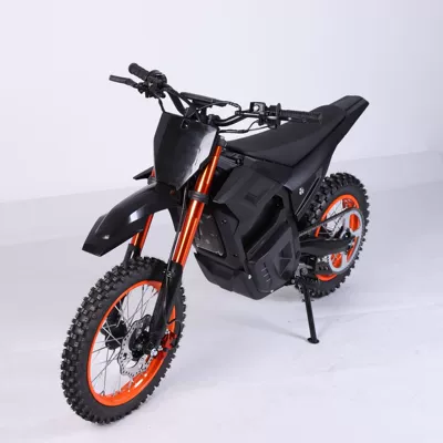 Motorcycle Small Adult High-Speed – Elektrikli motosikletlər - d02-brown-48v3000w