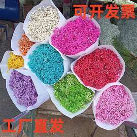 跨境专供永生花满天星干花工厂直供云南满天星干花批发500g大束