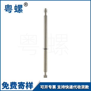 �ǘ��Sо�|ݸ��煏S���������� 4.9MM�F�|����L�Ȃ����Sо