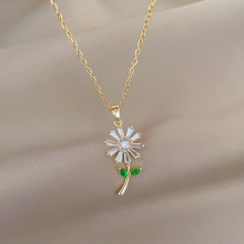 ¿΢肾G~ˮŮƷrЂԾWtW