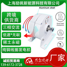 厂家直销100W12v24v家用三相交流永磁同步发电机