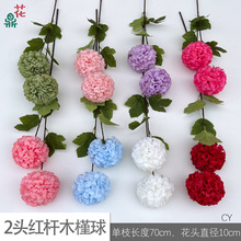 ��֦ 3�^ ���^ľ���� ���^�lؔ�� ��c�F����׼ٻ� �Ҿ���ꐽ���