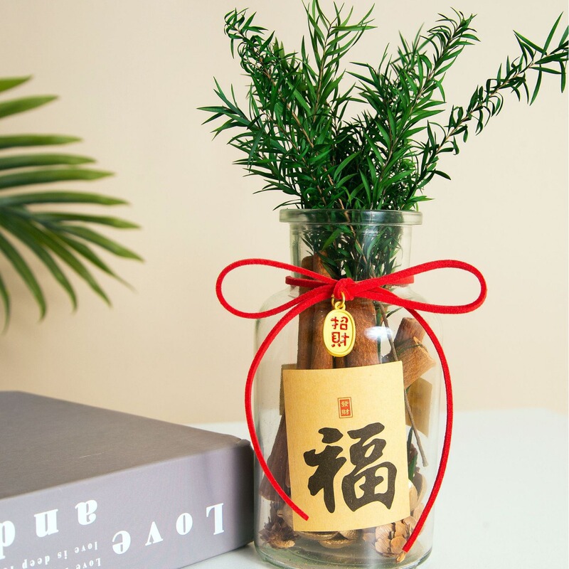 肉桂生财瓶摆件玻璃瓶花瓶diy材料客财厅位乔迁新居搬客厅|undefined