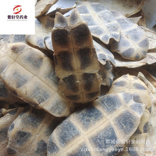 ����܎�á�����500g��؛��������ă������Ĕz��ș�����l��������