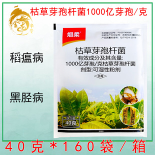 ����1000�|ѿ��/�˿ݲ�ѿ�ߗU���Sή�� ������ ��Ä��������40��