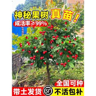 ���ع�����������ع��r��׃ζ��������ļ��̨ͥԺ�������Ե���