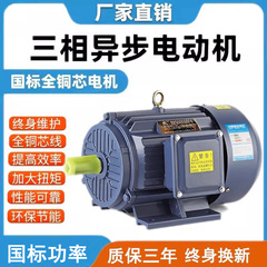三相非同期モータ0.75/1.1/1.5/2.2/3/4.5.5/7.5kw全銅モータ380V