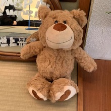泰迪熊公仔抱抱熊毛绒玩具儿童抱枕穿衣小熊布娃娃送女友节日礼物