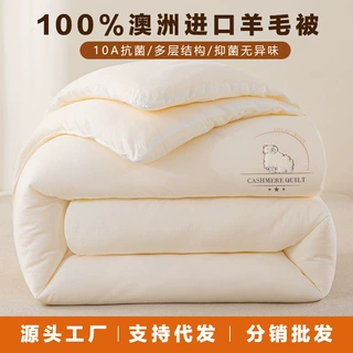 澳洲进口加厚100纯羊毛被绣花冬被芯保暖春秋被跨境团购礼品代发