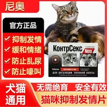 猫咪禁情粉母猫发情期抑制药公母猫犬禁情片绝情粉猫狗发情期药品