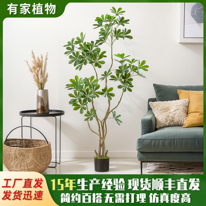 Lujo ligero, planta verde, pie de pato de simulación, piso, gran árbol falso, sala de estar interior, decoración de plantas biónicas de alta calidad