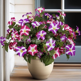 �羳���R�d���� ����7���ţ�������ٻ����Ȼ� �͏d����[���