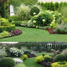 �����Gֲ�����Դ�̨�̨ͥԺ�͟��^�~�ļ�������������B����ֲ��