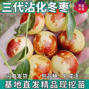 һ�����l����մ�����������ϱ��������ͺ������ش��Ӽ޽ӹ�����