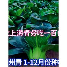 ݽKNͺļ͟๣˷N̨԰_~Ͳ˷N