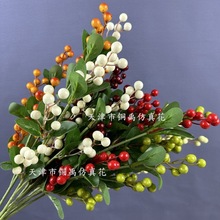 ����9�^�h����t�������{���ӼҾƵ��c��Y���b��߲�����l