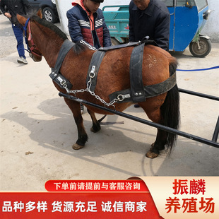 �������u���ﰫ�R���w���T�˰��R���w���U���䰫�_�R���ۻ��Ճr��