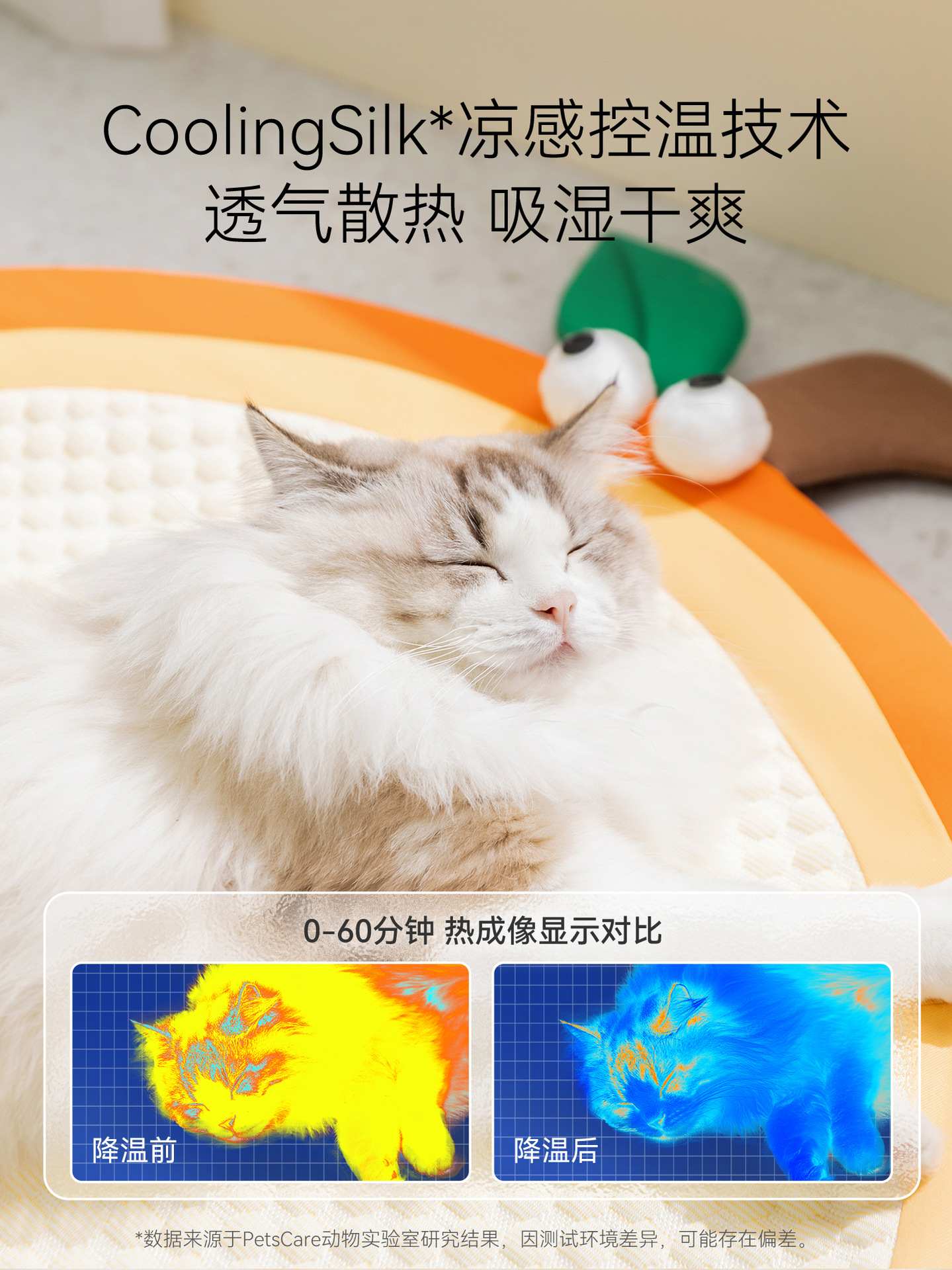 O1CN01TFr51u2APMtHXu7gs_!!2743028195-0-cib.jpg